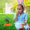 Apželdinimas ir kraštovaizdžio dizainas – Sodo papuošalai