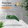 Reptile – Terarii pentru reptile
