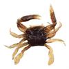 Krab Przynęta Miękka Sprzęt Wędkarski Morski 3D Sztuczny