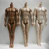31cm Height 1/6 Male Body Joint Movable Action Figure Body Male Model  Doll's Accessories