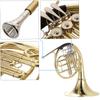 Bb Single French Horn 3 Key Brass Gold Lacquer Single-Row Split French Horn Wind Instrument with