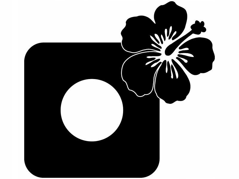 Protective Sticker for the Switch - Flower
