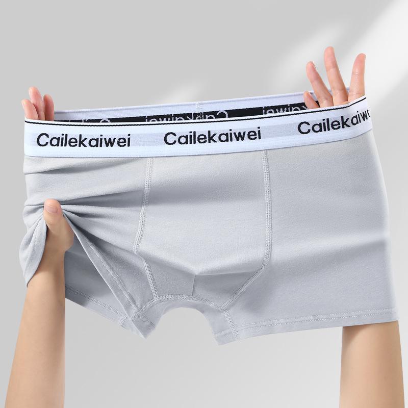 Large Size Men's Spring and Summer Cotton Anti Bacterial Breathable Youth Flat Angle Underwear