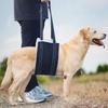 Breathable Senior Dog Lift Harness Portable Dog Recory Harness Premium Dog Sling Harness Injured