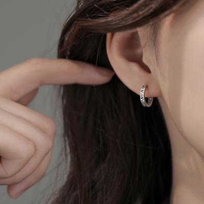 Römische Ohrbügel Kreis Nischen-Design Ohrringe Damen Sommer Neu Leichter Luxus Ohrringe