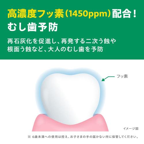 Gum and Dental Paste 120g ()