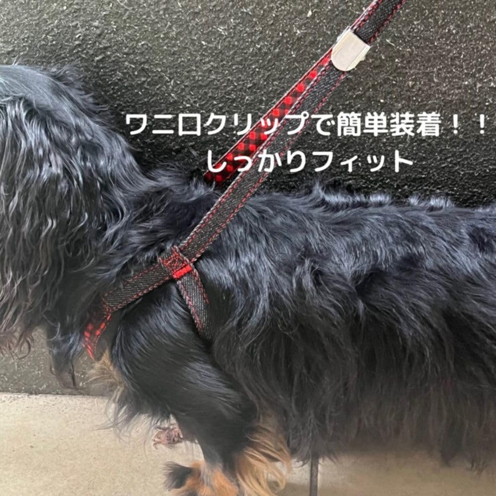 Pettorina Morbida Quotidiana Earth Pet Handler con Controllo per Cane Piccolo Accessori per Animali Guinzaglio, Denim, Cani, Nero, Accessori,