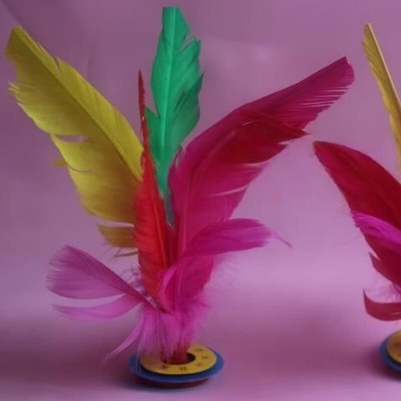 Volant en Plumes Colorées