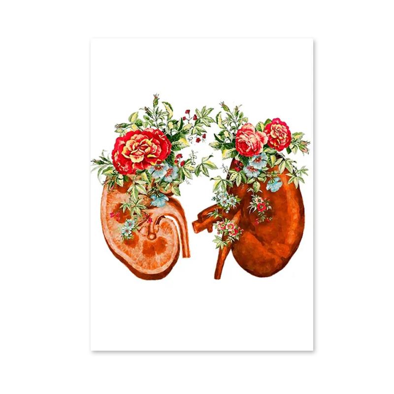 Flower Brain Heart Skull Organ Anatomy Wall Art Canvas Painting Medical Posters and Prints for Doctors Offices Hospitals Decor