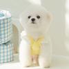 Spring and Summer New Puppy Dog Lace Chiffon Dress Teddy Bigbear Small Dog Bow Pet Clothes