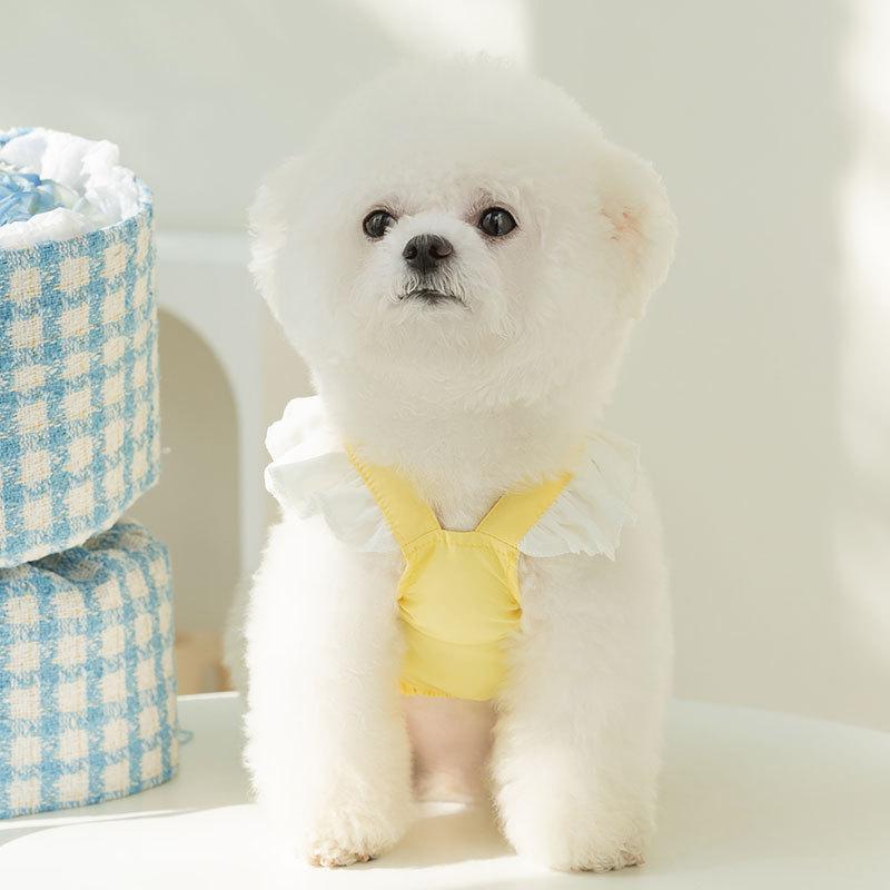 Spring and Summer New Puppy Dog Lace Chiffon Dress Teddy Bigbear Small Dog Bow Pet Clothes