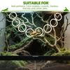 Interactive Reptiles Activity Climbing Chain With Scratchproof Acrylic For Reptiles Pet Habitat Enrichment Accessories