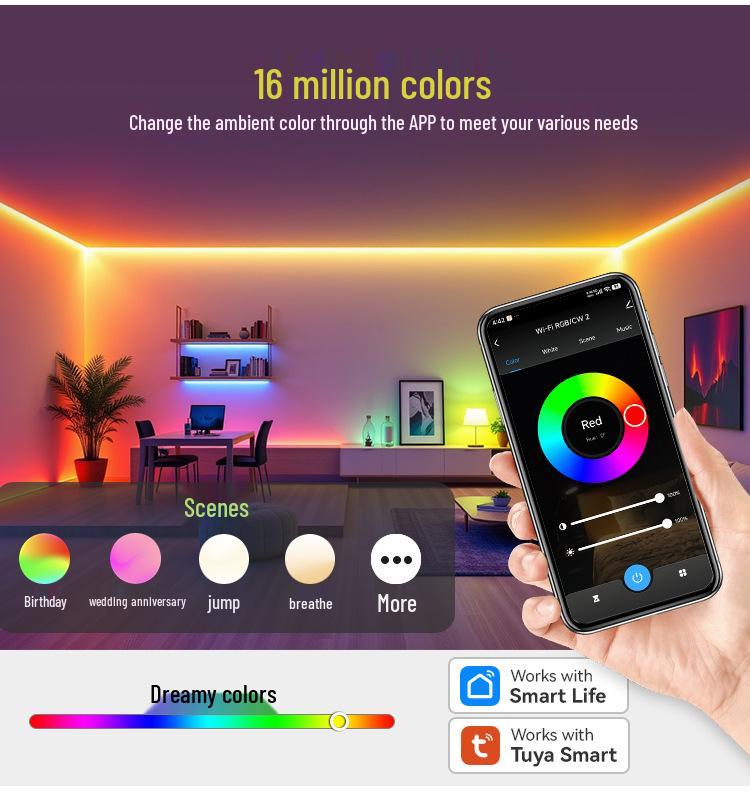 Graffiti C51W WiFi+Bluetooth 5-in-1 Controller (Monochrome/CCT/RGB/RGBW/RGBCW Compatible)