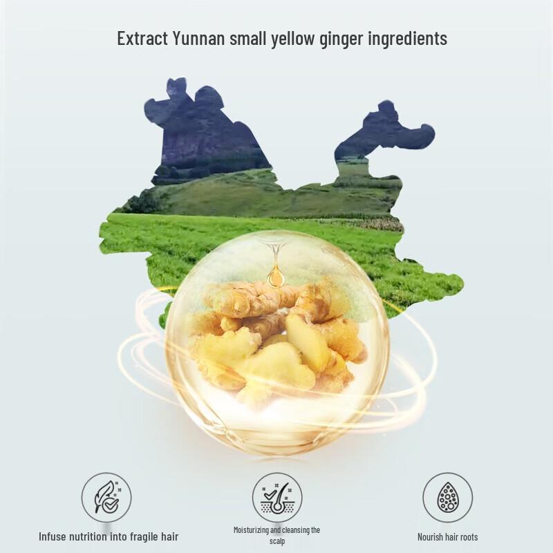 Accen Yunnan Ginger Blackening & Strengthening Herbal Shampoo