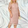Damen Plus Size Rosa Spitzenkleid Rundhalsausschnitt Kurzarm Bodycon Minikleid