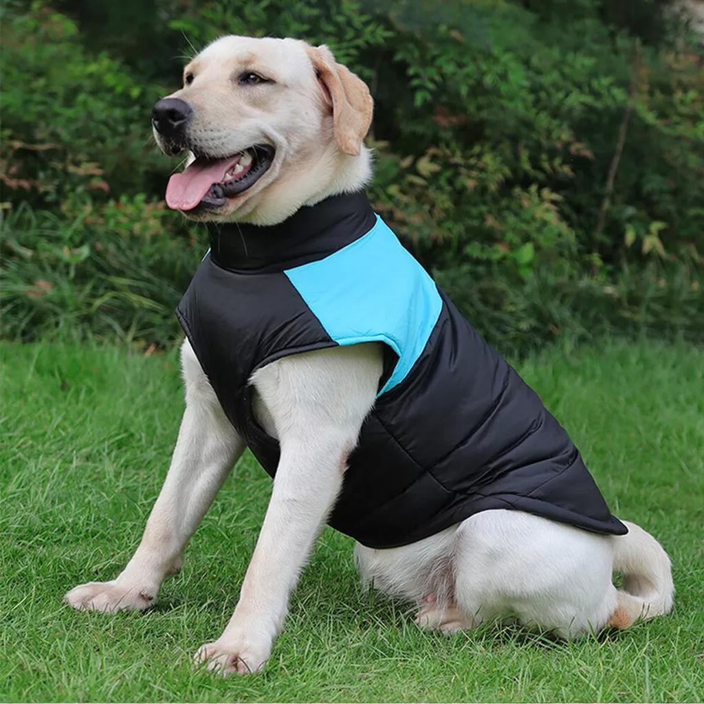 Gilet Caldo per Animali Domestici Cani Grandi Cappotti da Sci per Cuccioli Imbottito Invernale Caldo Vestiti per Cani Gilet per Animali Domestici Giacca con Cerniera