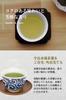 Seisenen Honten Sencha Tea Bags, Kyoto Uji, Premium Authentic Japanese Green Tea, Deep-Steamed, Waka-Steamed, Cold-Brewed, and Cold-Tea
