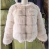 VAYLA Damenmode Kunstpelzmantel Super Heiß Herbst Winter Damen Kurze Kunstfuchs Fell Flauschige Jacke Hohe Qualität Top Damen Pelzmäntel