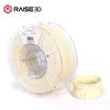 Raise3D PPA GF Fiberglass 3D Printer Filament CN plug (adapter included)
