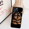Yorkshire Terrier Dog Phone Case For iPhone 17 Pro Max 16 15 11 13 12 14 Pro Max Mini 15 16 Plus 16e 17 Air Cover
