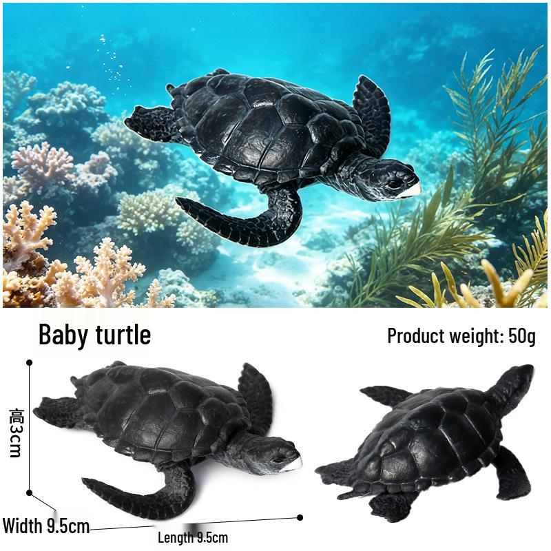 Children's Cognitive Marine Animal Models: Sea Turtle and Tortoise Toys