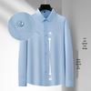 Men's Plus Size Ice Silk Long-Sleeve Wrinkle-Free Shirt