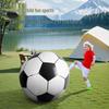 Giant Inflatable Outdoor Football Set