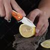 WXCOO Mini Folding Knife Keychain for Kitchen Accessories Stainless Steel Fruit Knife with Wooden Handle 1PC Pocket Knife