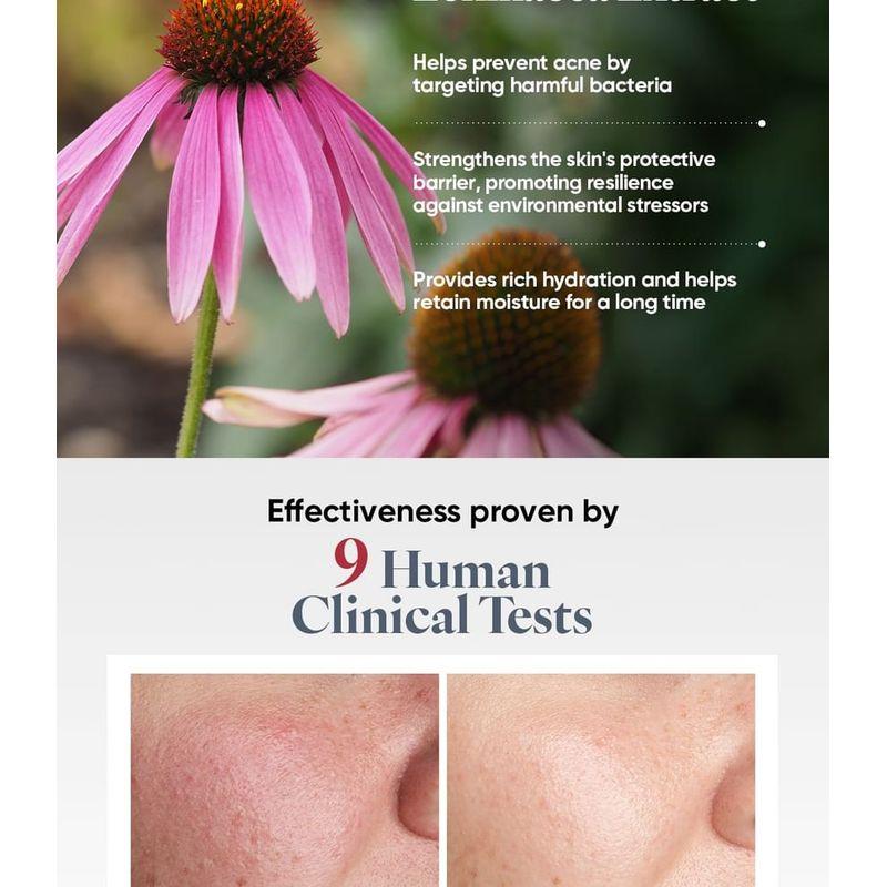 RAWQUEST - Echinacea Calming Moisture Cream