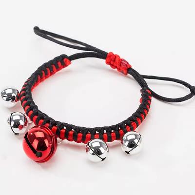 Köpek – Köpek Tasmaları ve Tasma Kayışları