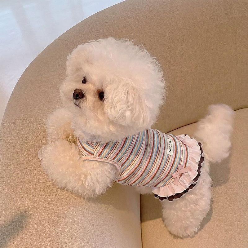 Dog clothes Autumn and winter rainbow striped dress Bigbear cat teddy Pomeranian small dog velvet pet vest