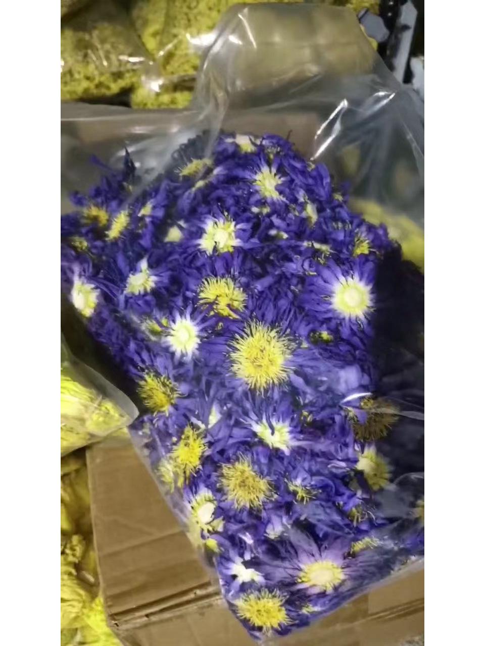 

Сушеный цветок голубого лотоса, без серы, высушенный при низкой температуре для чая или масла, удалены внешние лепестки и цветоложе. 50g Blue Lotus