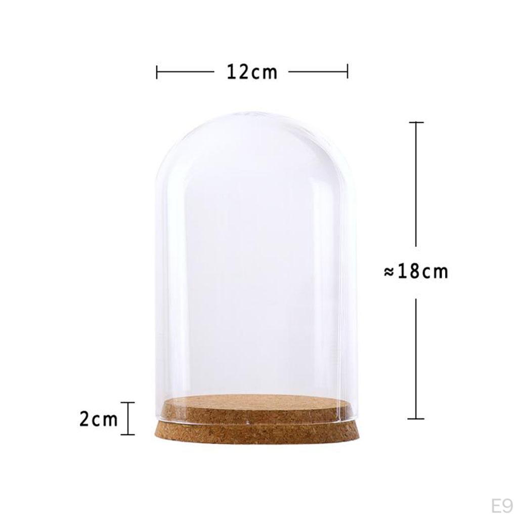 Cloche Bell Jar with Wooden Cork Base Wedding Christmas
