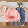 Kids Casual Long-Sleeve Set, Comfortable Daily Wear Outfits