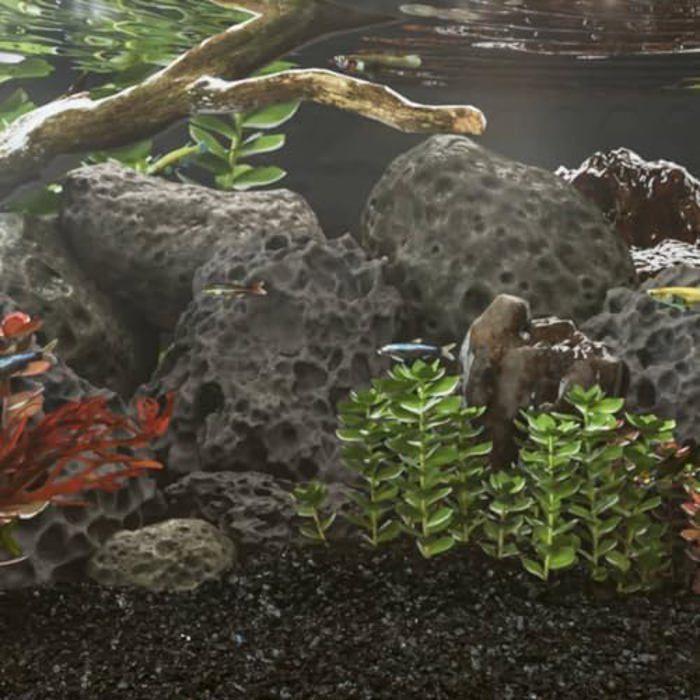 Roches Volcaniques - vidaXL - Pierres de Lave d'Aquarium - 100% Naturelles - Filtre Biologique - 25 kg