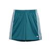 New Skateboarding Mesh Shorts Gender Neutral Turquoise HC2205