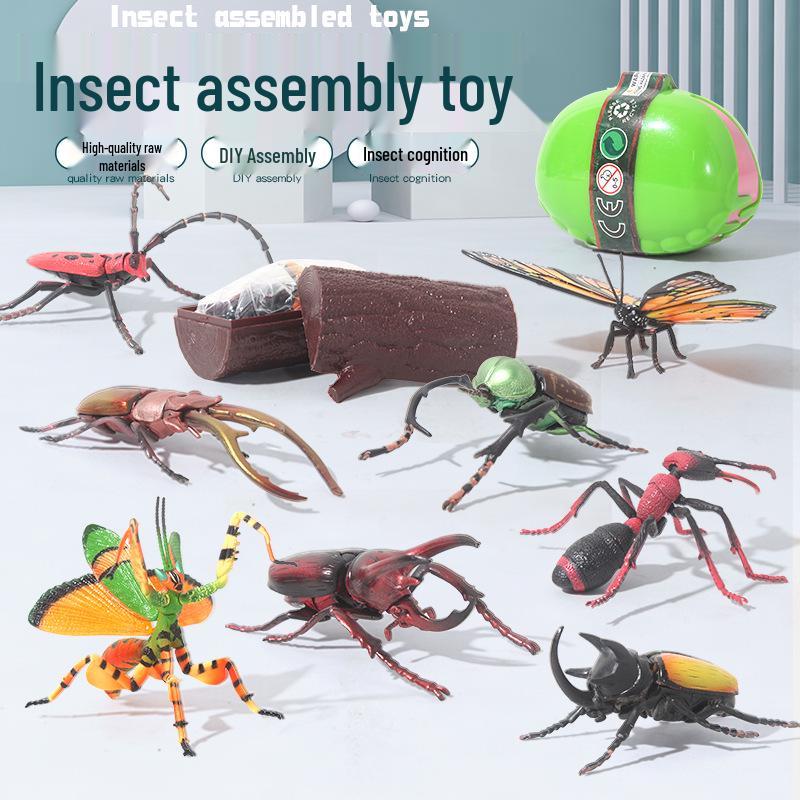 

Children s Cross-Border Animal Beetle Model - Realistic Solid Plastic Insect Toy