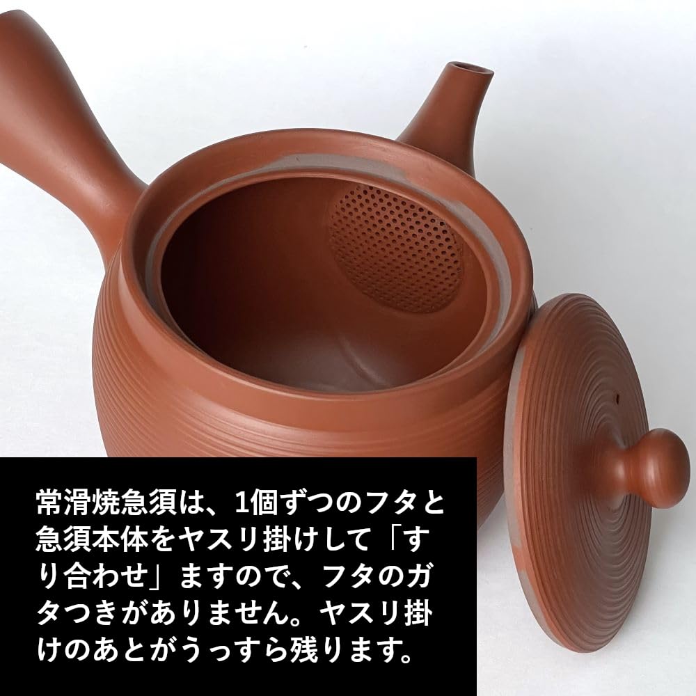 Tokoname Ware Large Teapot with Ceramic Tea Strainer, Ceramesh, 480ml, Made In Japan (Red Clay)