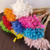 Yunnan Dried Flowers Bouquet - Rabbit Tail Grass