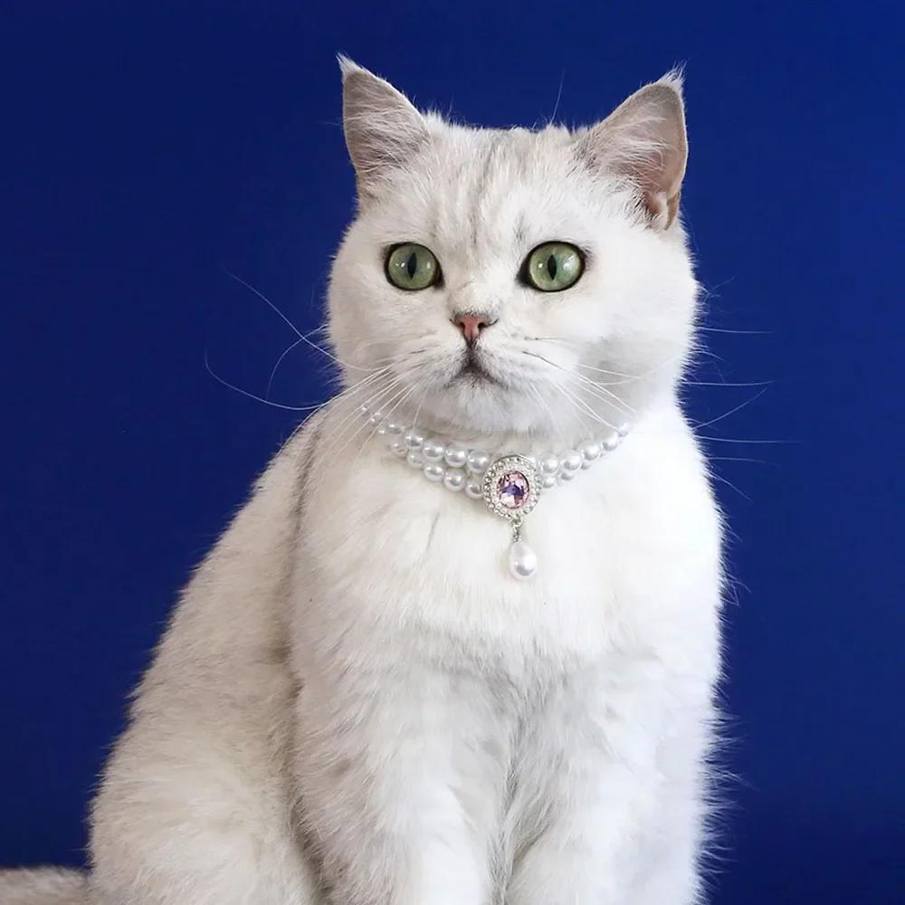 Pet Collar with Double Row Pearls Pendant Small Dogs Cat Pearl Necklace Fashion Accessories for Kitten Puppy Wedding Accessories