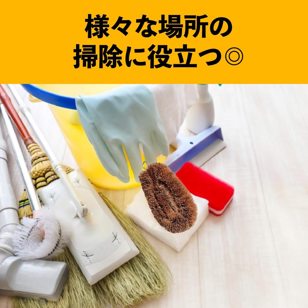 Scrubbers (10 Pieces) 11 X 5.8 Cm, for Kitchen Cleaning