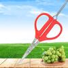 Grape Scissors Tweezers Gardening Tool Scissors 2-in-1 Branch Bonsai Scissors With Tweezers Fruit Grape Picking Tool