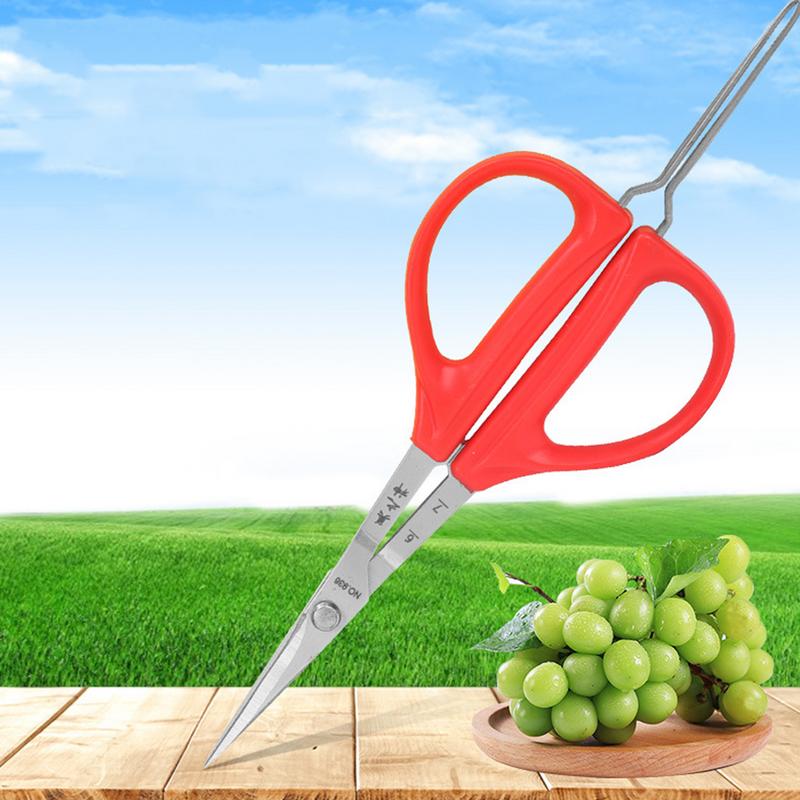Grape Scissors Tweezers Gardening Tool Scissors 2-in-1 Branch Bonsai Scissors With Tweezers Fruit Grape Picking Tool