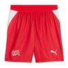 Suisse Sfv 25/26 Replica Men's Shorts Recycled Polyester Red