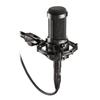 Accesorii audio și video – Microfoane