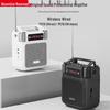 Newman MS19 Wireless Voice Amplifier with Handheld Microphone (CN Version)