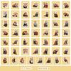 50 Cute Wind Animal Graffiti Stickers Suitcase Guitar Decoration Waterproof Stickers DIY Hand Account Stickers
