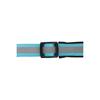 Jackson Pet Co Reflective Dog Collar