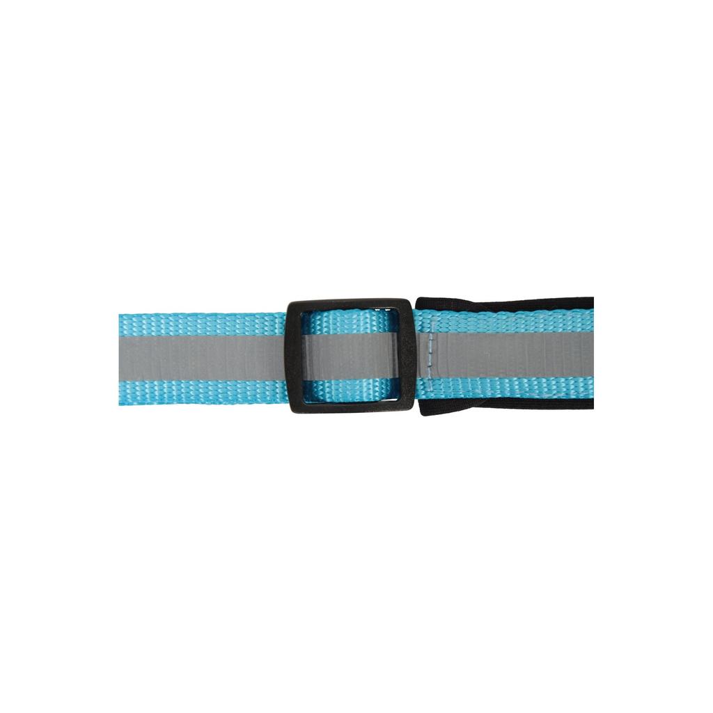 Jackson Pet Co Reflective Dog Collar