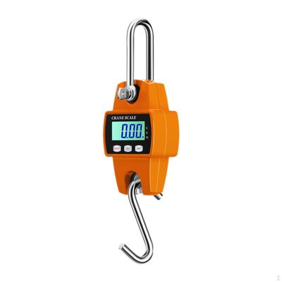 300kg Crane Scale for Weighing Luggage with LCD Display And Digital Features Travel Fishing